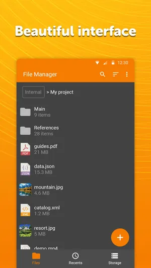 Simple File Manager Pro